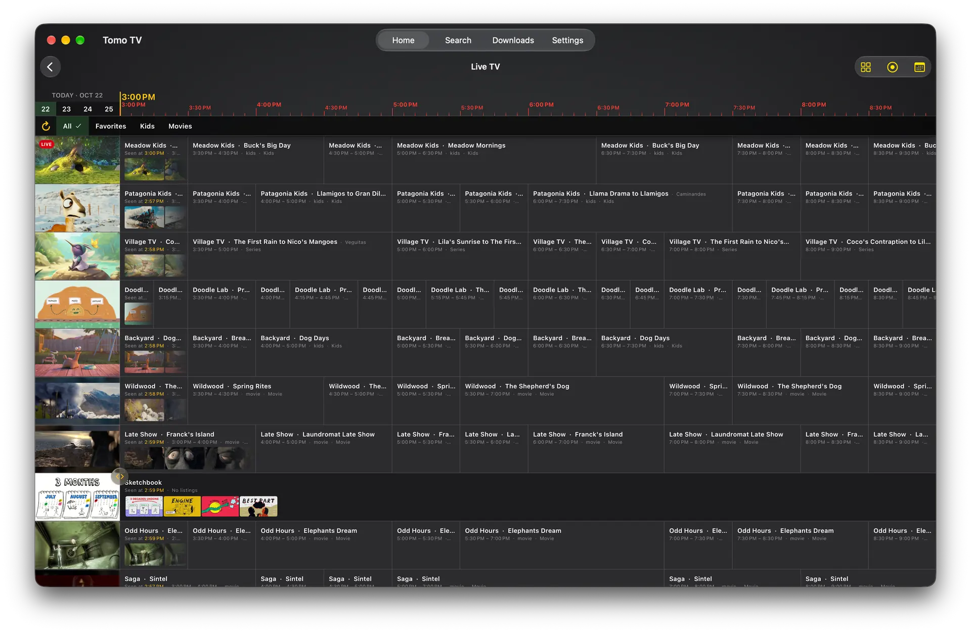 The Live TV guide in a Mac window: the day strip and the Channels, Recordings and Scheduled buttons over ten channel cards showing live frames, a band of channel groups, and six hours of program cells along the time ruler, the airing ones showing recent frames