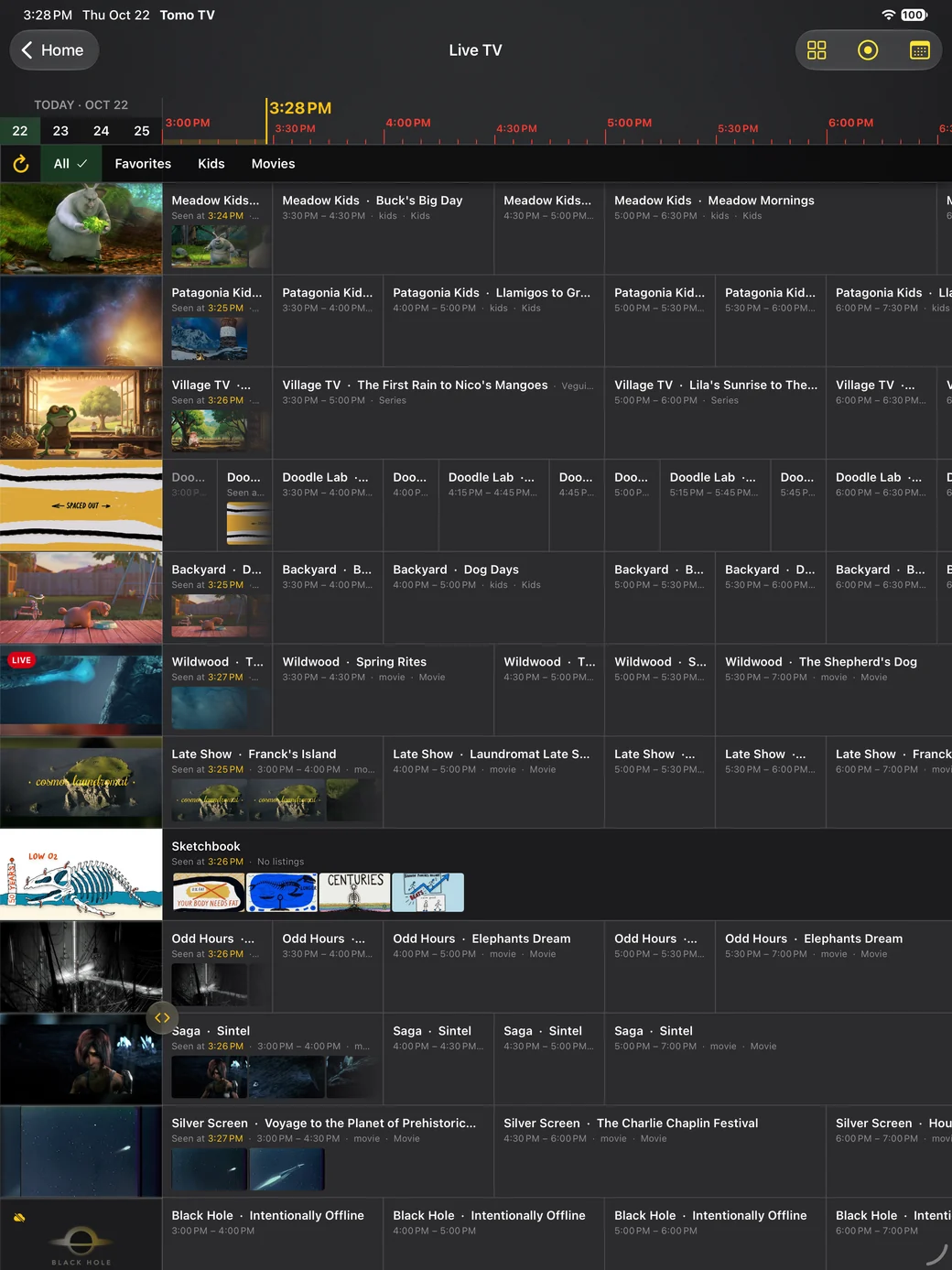The same guide on iPad, twelve channels and three and a half hours of programs in view